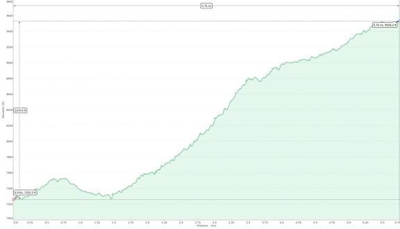 Day1Profile