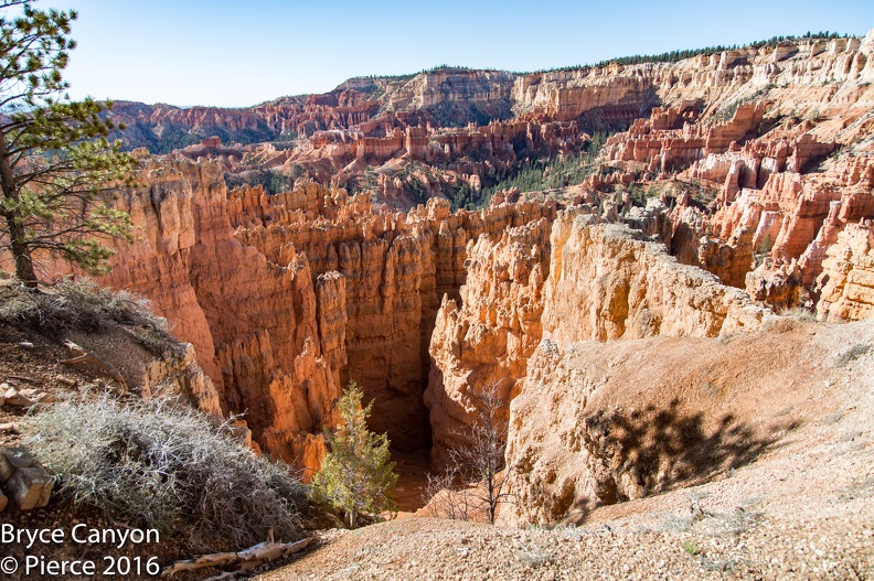 2016 Bryce-20.jpg