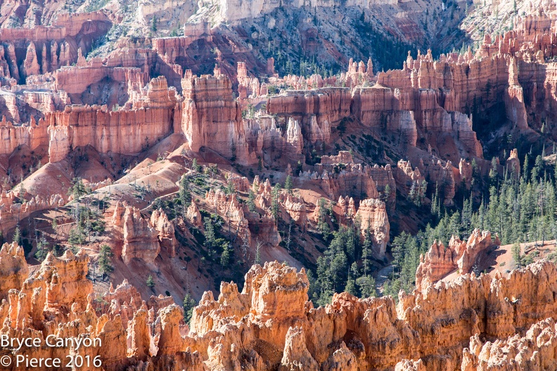 2016 Bryce-23.jpg
