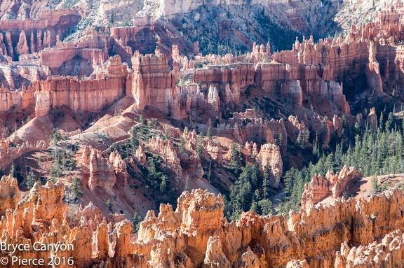 2016 Bryce-23