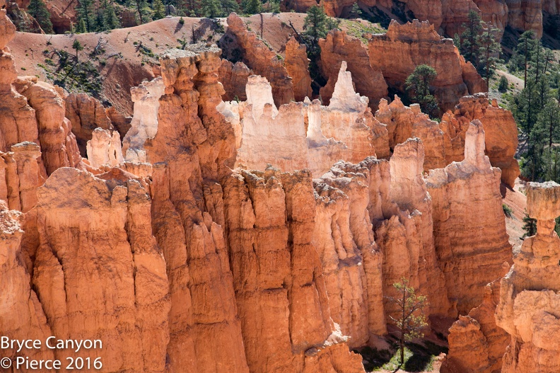 2016 Bryce-25.jpg