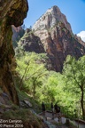 2016 Zion-201