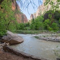 2016 Zion-55-HDR