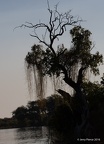 Victoria Falls Boat-52