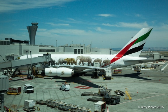 2016SafariArrival-26