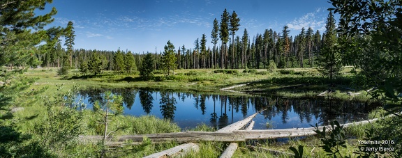 2016 Hetch Hetchy Hike-446-Pano