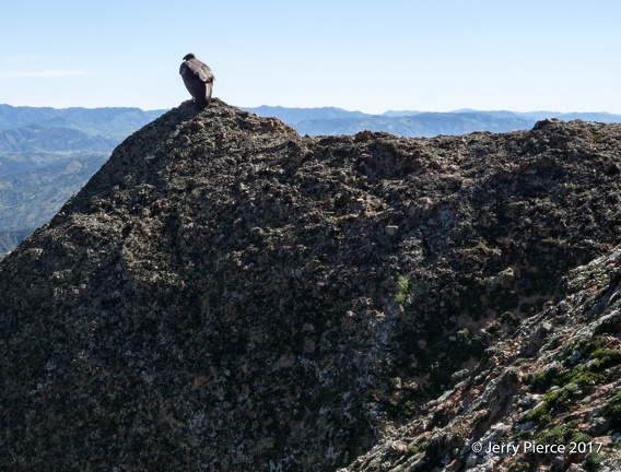 2017-Pinnacles National Park-189