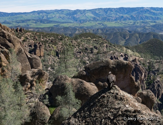 2017-Pinnacles National Park-198