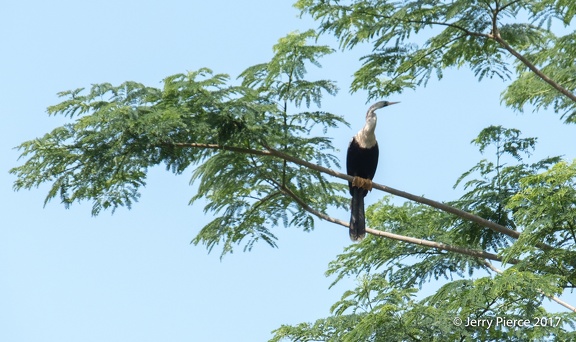 Mexico 20170620-84