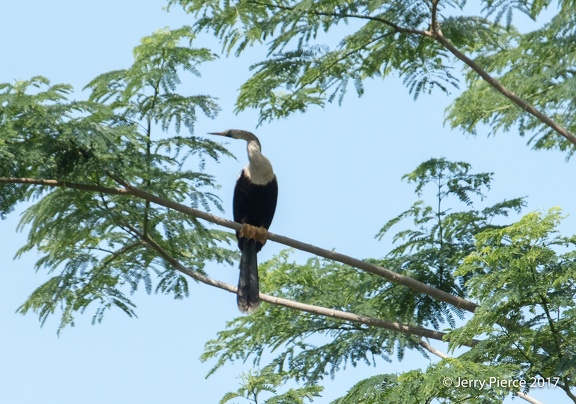 Mexico 20170620-82