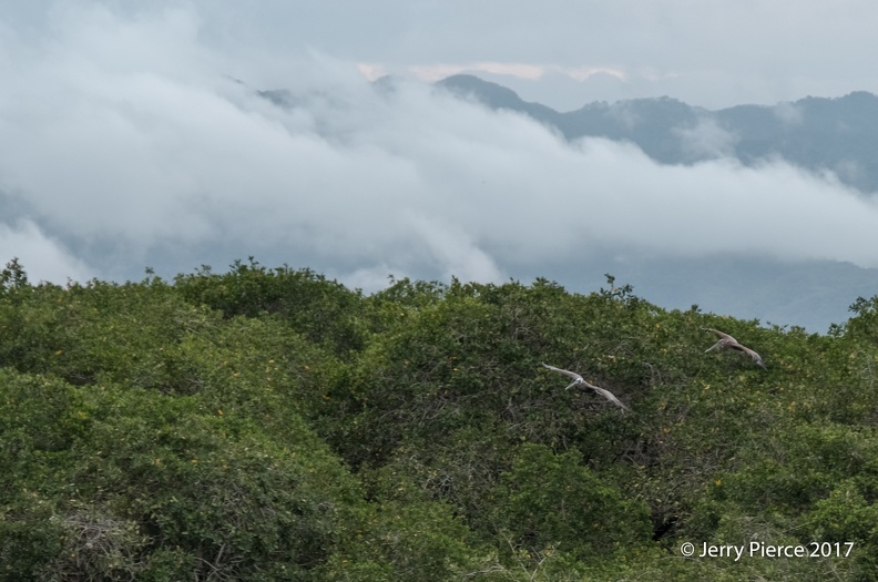 Mexico 20170625-83.jpg