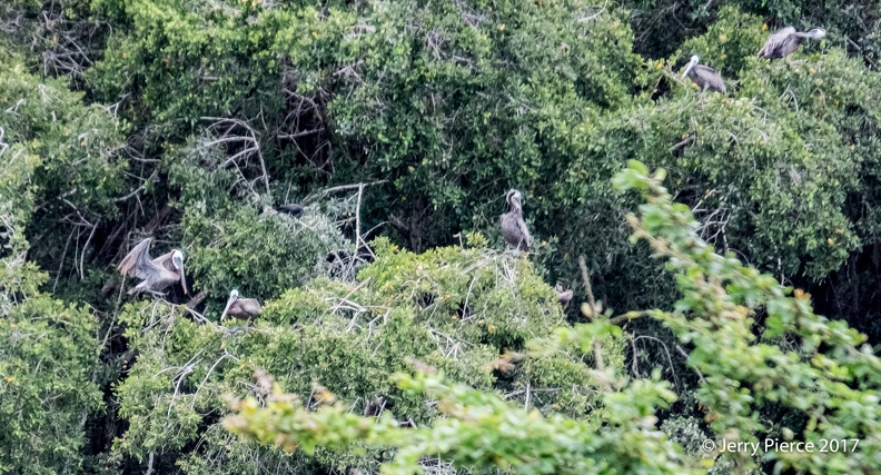 Mexico 20170625-73