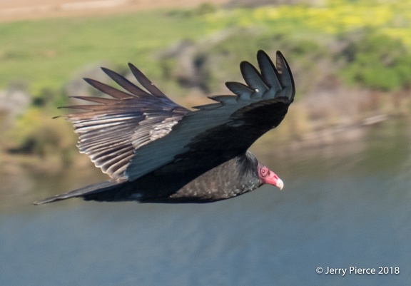 GAP20180215 - Marin Headlands-5