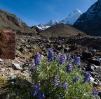 GAP20190517-Peru-Huayhuash-3234-Edit