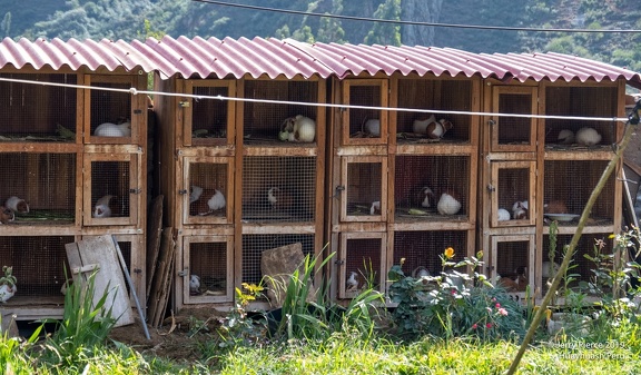 GAP20190517-Peru-Huayhuash-2917