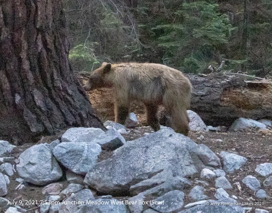 GAP20210708 RaeLakes-1290