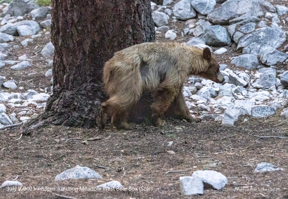 GAP20210708 RaeLakes-1287