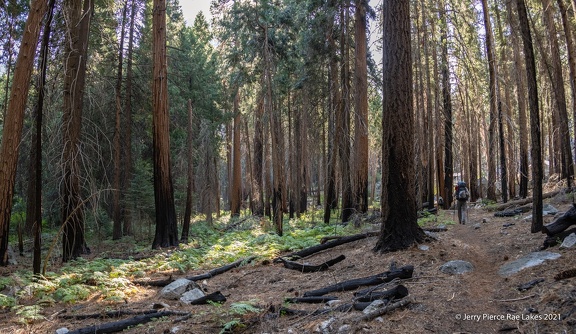 GAP20210708 RaeLakes-1137-Pano