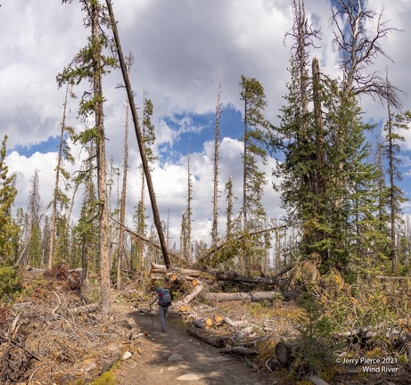 GAP20210910 Wind River-1009-Pano