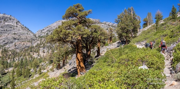 20220702 Sierra Lake Tour-1078-Pano