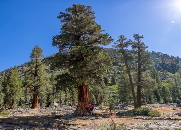 20220702 Sierra Lake Tour-1025-Pano