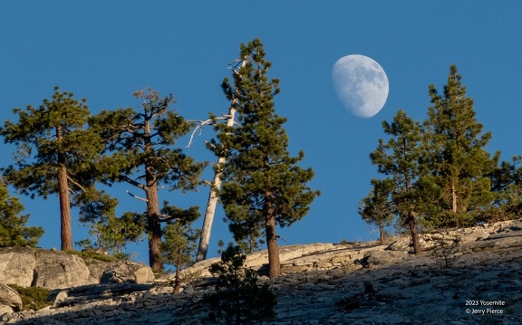 GAP20230721 Hetch Hetchy Hike-2548