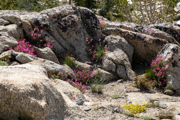 GAP20230721 Hetch Hetchy Hike-2208