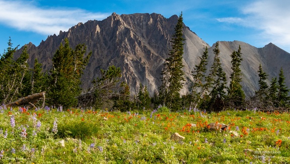 GAP20230826 White Clouds-4094