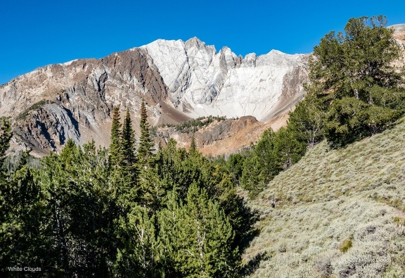 GAP20230826 White Clouds-2114