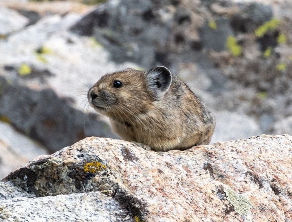 GAP20230826 White Clouds-1925