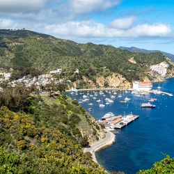 2024 Catalina Island - so-so pictures