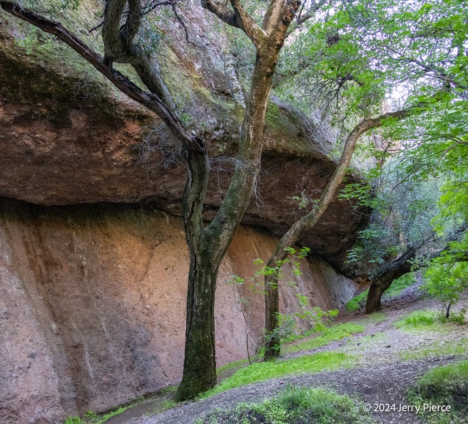 GAP20240321 Pinnacles-1038.jpg