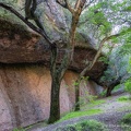 GAP20240321 Pinnacles-1038