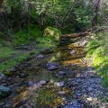 GAP20240321 Pinnacles-1014