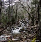 GAP20240331 Yosemite-1042-Pano