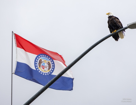 GAP20240523 Juneau Alaska-1203