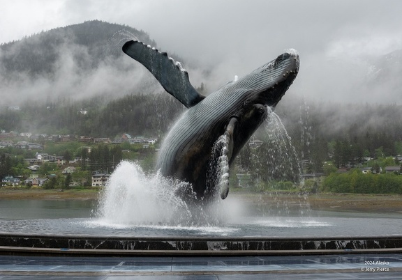 GAP20240523 Juneau Alaska-1112