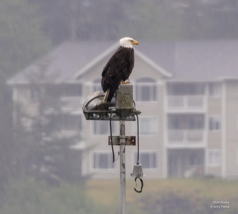 GAP20240523 Juneau Alaska-1007-Enhanced-NR