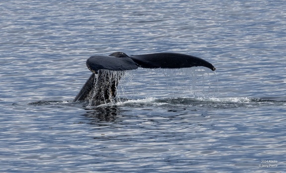 GAP20240527 Alaska-1054