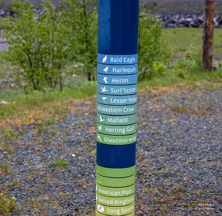 GAP20240523 Juneau Alaska-1216