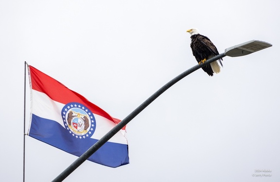 GAP20240523 Juneau Alaska-1202