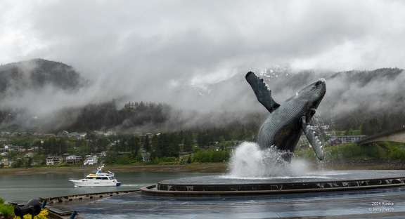 GAP20240523 Juneau Alaska-1113