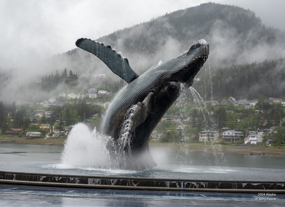 GAP20240523 Juneau Alaska-1111