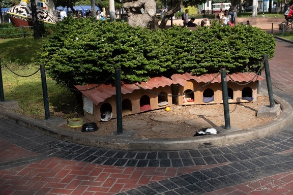 GAP20250515 Alpamayo Trek Peru-1022