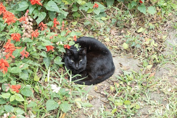 GAP20250515 Alpamayo Trek Peru-1024