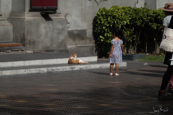 GAP20250515 Alpamayo Trek Peru-1041