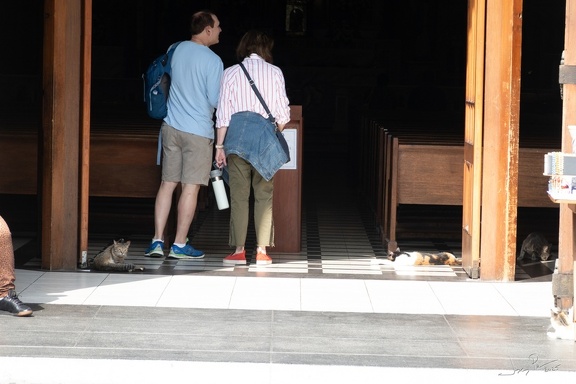 GAP20250515 Alpamayo Trek Peru-1048