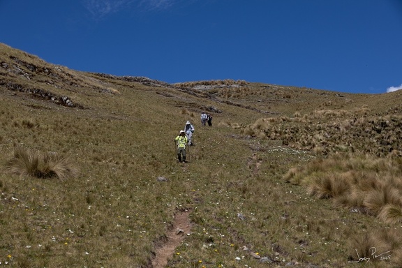 GAP20250515 Alpamayo Trek Peru-2694
