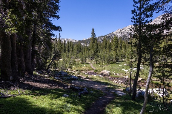 GAP20250706 Yosemite Tuolumne Loop-1300