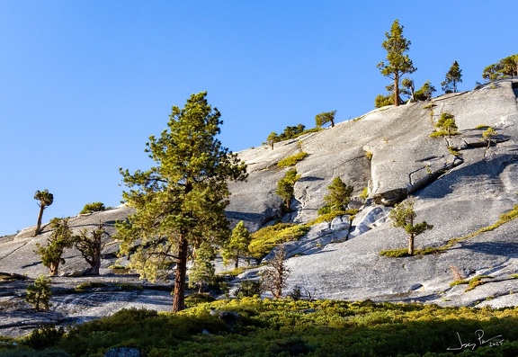GAP20250809 Yosemite High Loop-1309